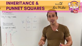 Inheritance and Punnett squares [upl. by Koren]