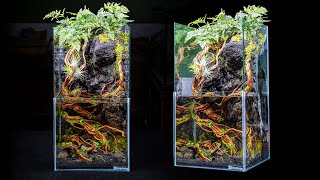 DIY Skyscraper Paludarium With Moss Waterfall [upl. by Yeslek]