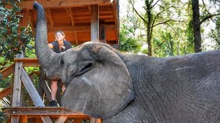 MYRTLE BEACH SAFARI behind the scenes VIP TOUR [upl. by Steinman653]