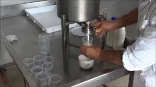 YOGURT MAKER FOR MINI DAIRY HOW TO MAKE YOGURT [upl. by Trebuh253]