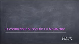 La contrazione muscolare [upl. by Idolah]