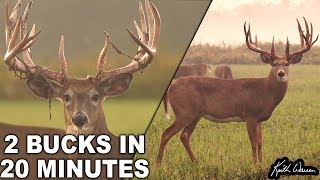 Two Trophy Whitetail Bucks in 20 Minutes  Legends Ranch [upl. by Ethelstan]