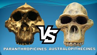 Paranthropus vs Autralopithecus [upl. by Annirak161]