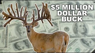 Multi Million Dollar Buck at Blackjack Whitetails [upl. by Bernelle]