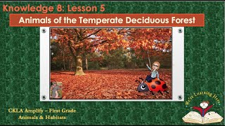 Knowledge 8 Ls 5 Temperate Deciduous Forest [upl. by Ahsiel303]