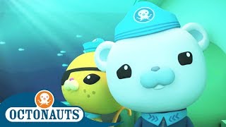 Octonauts  Whale Song  Cartoons for Kids  Underwater Sea Education [upl. by Parnas239]