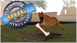 Life as a Stray Great Dane • Ultimate Dog Simulator [upl. by Atilol]