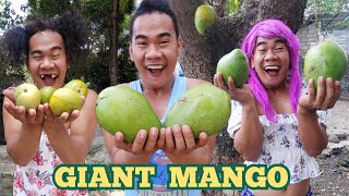 Ang Mangga ni Bebang  Madam Sonya Funny Video [upl. by Crosse]