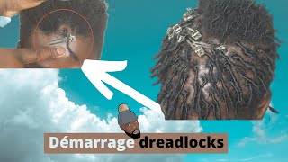 Comment faire un démarrage de Locks  REAL HAIR  2 Techniques [upl. by Eilram]