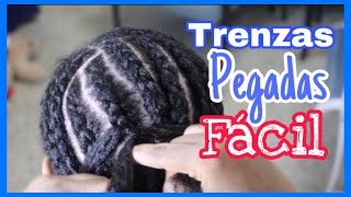 COMO HACER TRENZAS PEGADAS PARA PRINCIPIANTES [upl. by Loella]