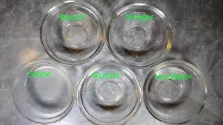 Denaturation of proteins [upl. by Orravan143]