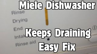 ✨ Miele Dishwasher  F20 Error Leak  How To EASILY FIX IT ✨ [upl. by Ainessey]