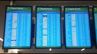 Check in for international flight at Atlanta Airport ATL  ConcourseTerminal F [upl. by Monjo]