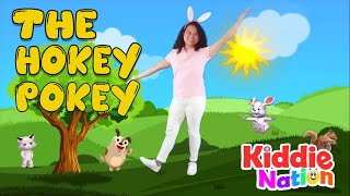 The Hokey Pokey action song with lyrics [upl. by Edaj643]