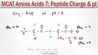 How to Calculate Peptide Charge and Isoelectric Point MCAT Trick [upl. by Klehm]