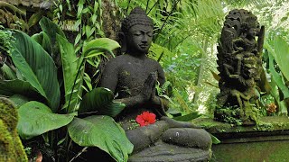 Buddhas Flute Music Zen Garden 7 [upl. by Anauqed]