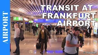 TRANSIT WALK AT FRANKFURT Airport FRA Terminal 1  Connection Flight Transfer Arriving amp Departing [upl. by Ignace918]