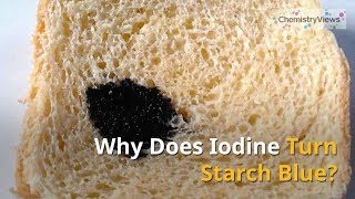 Why Does Iodine Turn Starch Blue [upl. by Aynatan569]