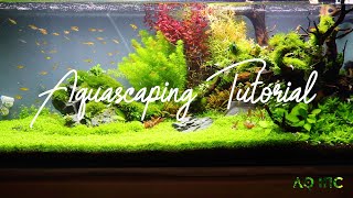 Step by Step Aquascaping Tutorial 200L [upl. by Mariellen]