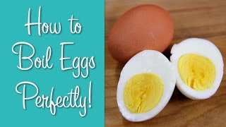 How To Boil Eggs  Perfect Hard Boiled Eggs  Hilah Cooking [upl. by Miguela163]