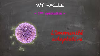 SVT FACILE  1ère spé  Limmunité adaptative [upl. by Leahcimsemaj]