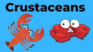 Characteristics of Crustaceans [upl. by Ecnav]