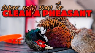 Easiest Way to Clean a Pheasant [upl. by Madelyn151]