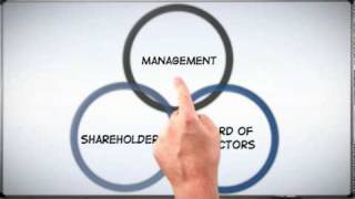 Corp 101 The Basics of Corporate Structure [upl. by Ainotna]