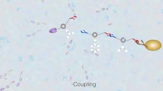 Solid Phase Peptide Synthesis  The Basics [upl. by Beard]