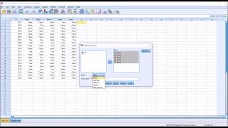 Conducting a KuderRichardson 20 Test KR20 in SPSS [upl. by Blanche639]