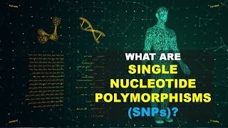 SNPs Single Nucleotide Polymorphism0 Better Explained [upl. by Harim665]