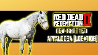 Few Spotted Appaloosa Wild Horse Location  Red Dead Redemption 2 [upl. by Odnam301]