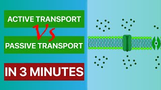 Active transport vs Passive transport in just 3 minutes [upl. by Ailic]