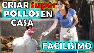 como criar pollos de engorde en casa [upl. by Lemraj81]