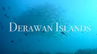 The Derawan Islands [upl. by Stuart]