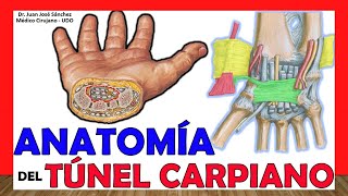 Tratamiento del síndrome de túnel carpiano izquierdo [upl. by Cia224]