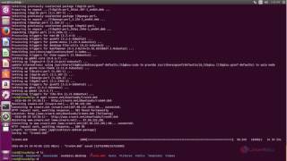 How to install SRware iron browser in Ubuntu [upl. by Aicyla]