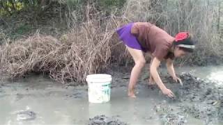 Amazing beautiful girl Fishing in the field  How to Catch Fish at battambang  part 29 [upl. by Mercedes565]