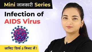 HIV and AIDS Explained in a Simple Way in Hindi  HIV Mechanism of Action  Mini Jankaari Series [upl. by Eldrida]