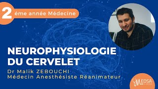 NEUROPHYSIOLOGIE DU CERVELET  Dr Malik ZEBOUCHI [upl. by Pliske810]