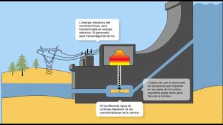 Funcionament duna central hidroelèctrica [upl. by Royce]