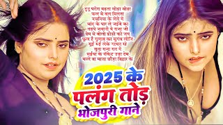 Top 10 भोजपुरी गाने Arkestra Songs चटकदार गाने Bhojpuri Jukebox New Song 2025 [upl. by Nicram]