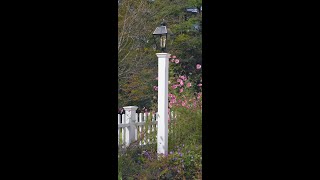 Walpole Outdoors Installation of Lantern Post  Avon Updated [upl. by Nylle417]