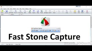 Kode registrasi Faststone Capture [upl. by Margo]