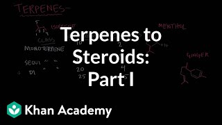 From terpenes to steroids part 1 Terpenes  Endocrine system physiology  NCLEXRN  Khan Academy [upl. by Aryc528]