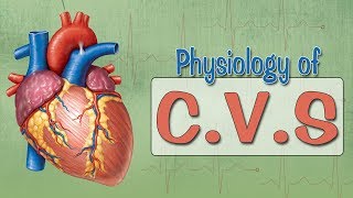 Easy Physiology  CVS  ECG 1Introduction amp ECG Leads [upl. by Akessej]