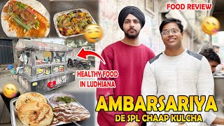 review Ludhiana street food ✌️ [upl. by Aremmat]