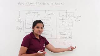 Block Diagram amp Architecture Of 8085 Microprocessor [upl. by Caitrin]