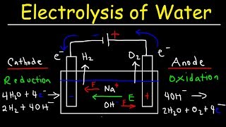 Electrolysis of Water  Electrochemistry [upl. by Esinet]