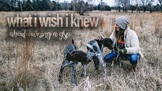 What I Wish I Knew About Owning A GSP [upl. by Schalles654]